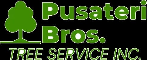 Pusateri Brothers Tree & Landscaping Service