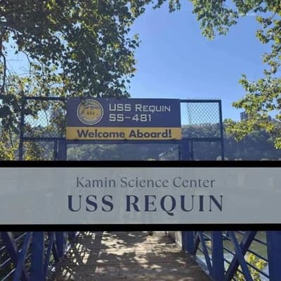 USS Requin